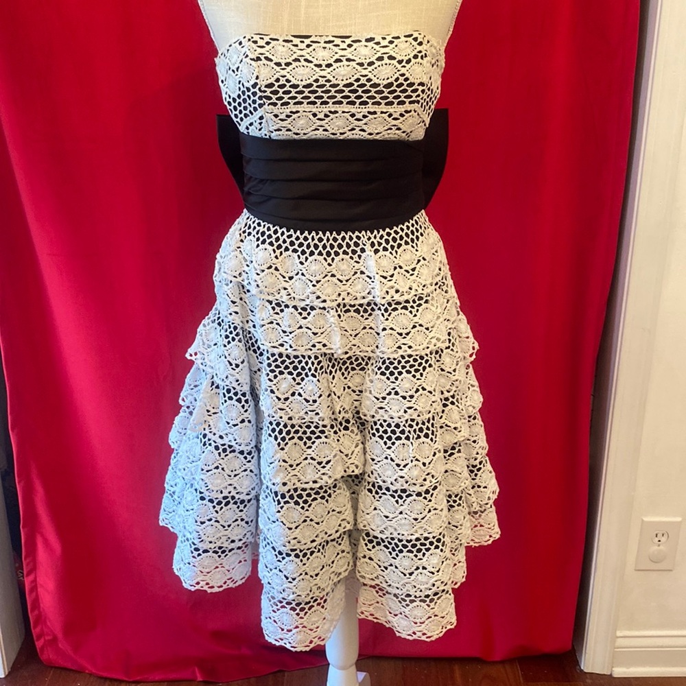 ❌SOLD❌ Betsy Johnson Crochet swing dress prom gown size 4 - Picture 3 of 9